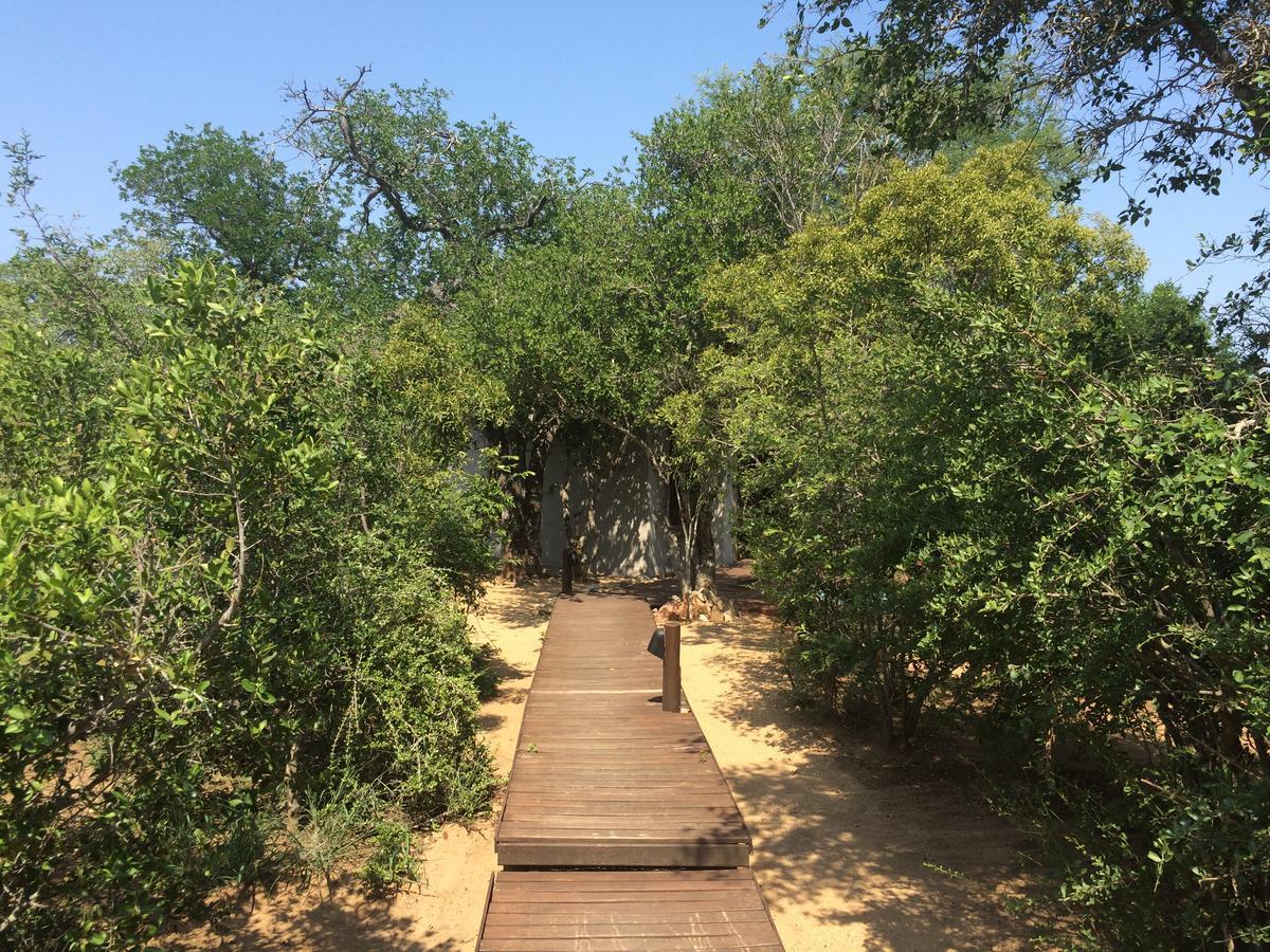 Leadwood Lodge Hoedspruit Exteriör bild