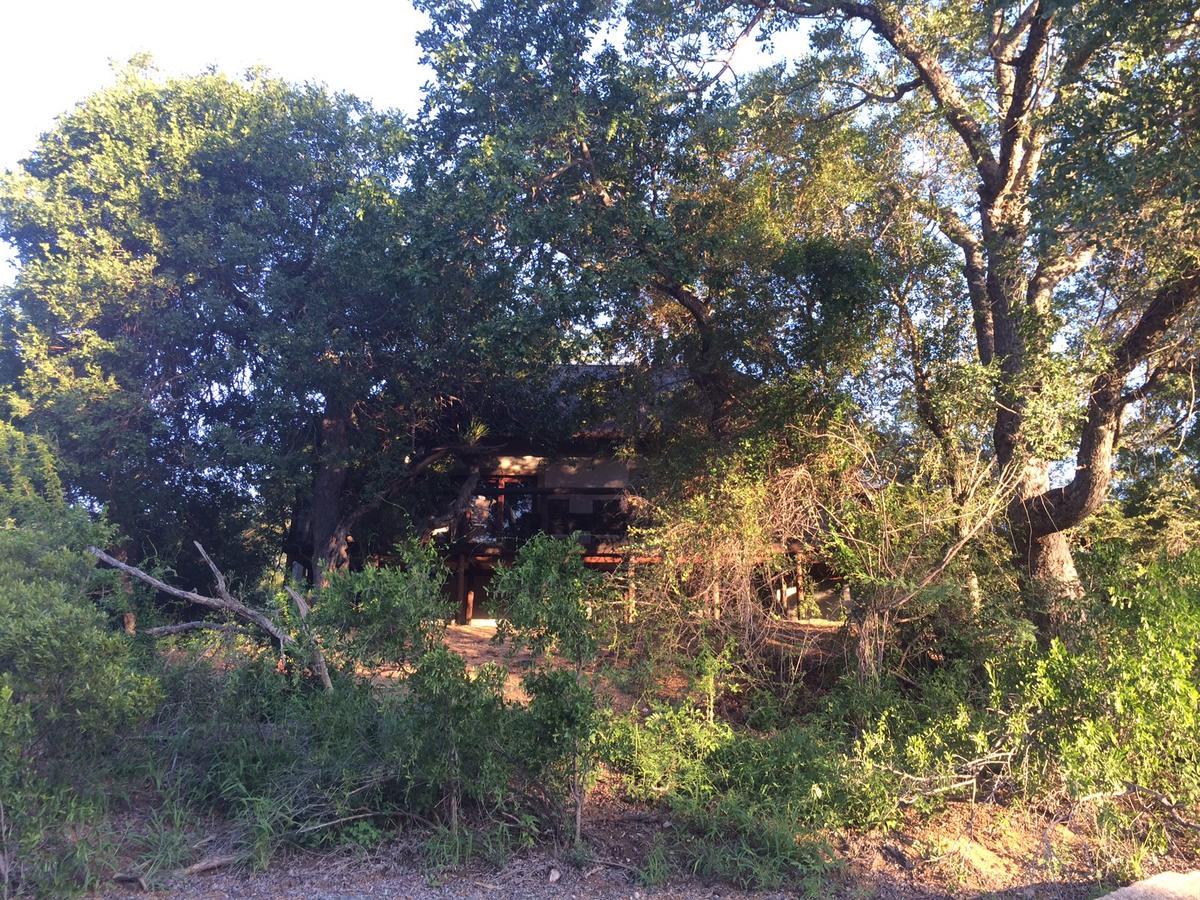 Leadwood Lodge Hoedspruit Exteriör bild