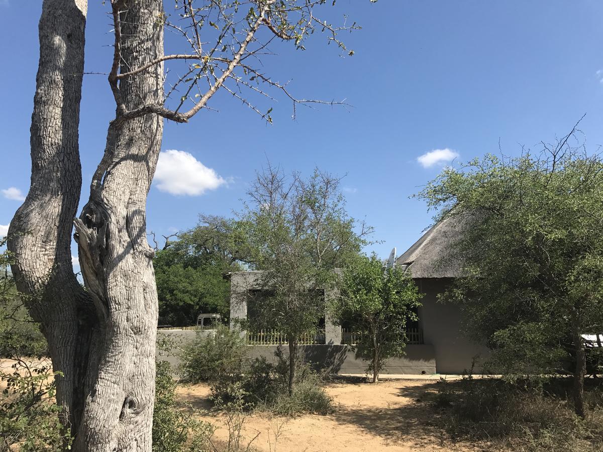 Leadwood Lodge Hoedspruit Exteriör bild