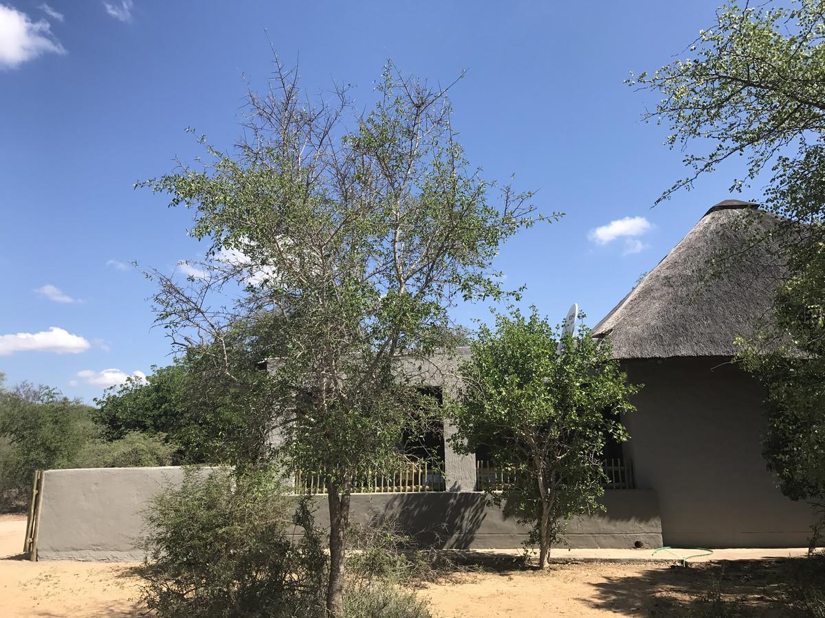 Leadwood Lodge Hoedspruit Exteriör bild